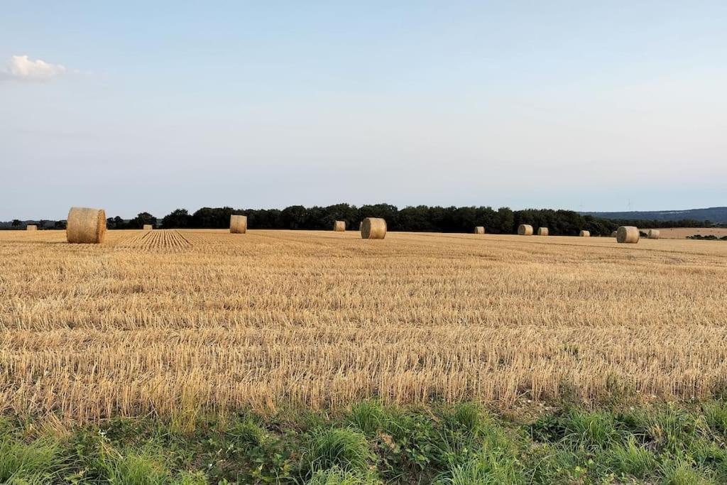 Longere Bretagne